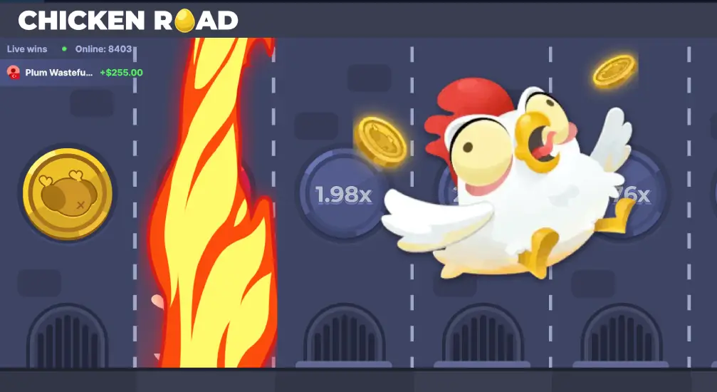 How to play Chicken Road correctly